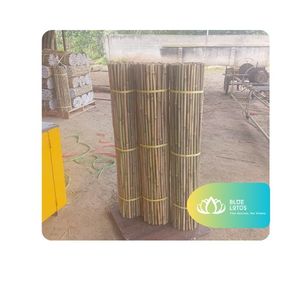 [ALTA CALIDAD] Varillas de Soporte para Plantas de Bambú Resistentes y Modernas BLUE LOTUS para Invernaderos, Agricultura, Cultivos y Estructuras de Ensete - Product Image 1