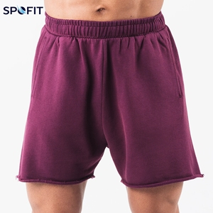 Pantalones Cortos de Malla para Hombre, Estilo Urbano, Vintage, Teñido al Sol, Lavado Claro, con Borde sin Rematar, Estampado Puff, Cintura Elástica - Product Image 1