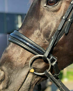 Brida de Cuero Premium Acolchada y Moldeada para Caballo, con Hebilla de Alta Calidad, Personalizable, en Varios Colores, para Equitación - Product Image 3