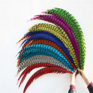 Plumas de Cola de Faisán de Lady Amherst Zebra Extralargas de 80-90 cm al por Mayor para Disfraces de Carnaval y Suministros para Fiestas - Product Image 1