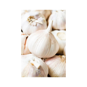 Ail frais pelé de qualité supérieure en gros, à vendre à prix avantageux - Product Image 6