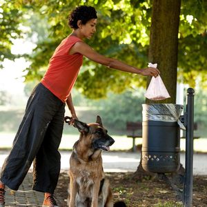 Bolsas para excremento de perro, bolsas de plástico desechables para excremento de perro, para perros, para desechos de mascotas, para paseos al aire libre - Product Image 2