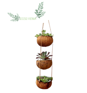 Natural Coconut Shell Plant Pot - Eco-Friendly Coconut <b>Hanging</b> Flower Pot For Home And <b>Garden</b> Bulk Supply by Eco2Go Vietnam - Product Image 5