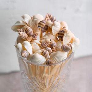 Bar decor essentials seashell <b>skewers</b> natural coastal sea shell <b>skewer</b> sticks cheapest price - Product Image 6