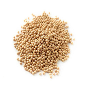 Soja a Granel No Modificada Genéticamente, Producto Agrícola de Alta Calidad para Compradores Internacionales - Product Image 4