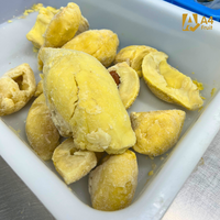 Diepvries 100% Thaise Durian Brokjes Vlees Thailand Originele Smaak Importeurs Verse Monthong Variëteit Zoet Romig 100g A4 FRUIT