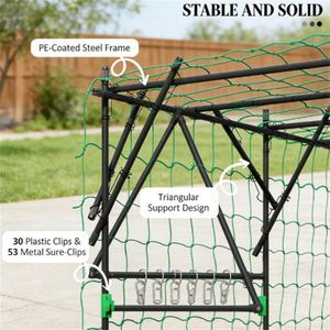 Struttura ad arco nera per serra da giardino, traliccio per piante rampicanti e cancello - Product Image 2