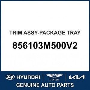 Nouveaux Moulures et Garnitures de Carrosserie 856103M500V2 - Product Image 1