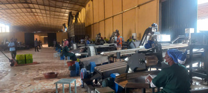 Cashew <b>Nut</b> Processing Plant 5-100 <b>T</b>/Day Semi-auto Raw cashew <b>nut</b> Food Grade Stainless Steel Manufacturer Vietnam - Product Image 4