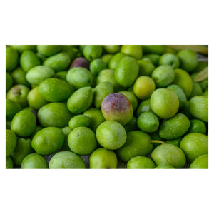 Aceitunas Verdes Frescas de Primera Calidad, Cosechadas Naturalmente y Disponibles para Suministro al por Mayor y Mercados de Exportación Globales - Product Image 1