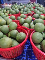 Pomelo vert frais de Vietnam, sucré et juteux, chair rose, qualité export premium, fruit agrumes, durée de conservation 60-90 jours, prêt à consommer