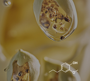 Dihidroeugenol (CL-804) Van Aroma - Product Image 2