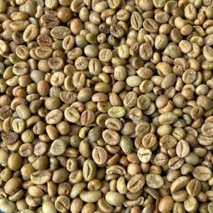 Grains de café frais Robusta, traitement naturel, taille 18, Vietnam, grains de café vert de ferme - Product Image 5