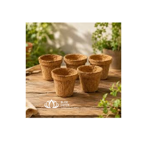 NOUVEAU Pot en fibre de coco naturelle Blue Lotus, conteneur de pépinière en fibre de coco, design rustique, origine Ben Tre, pour la culture de semis, approvisionnement export - Product Image 1