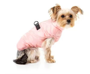 Ropa para Mascotas Hecha con Tela 100% Poliéster, Chaquetas Acolchadas, Diseño OEM Transpirable, Abrigo para Perro, Superventas - Product Image 1