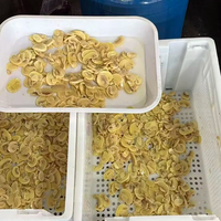 Champignons en gros en fût de 10 kg, entiers/tranchés, mélangés, salés et conservés pour la transformation alimentaire