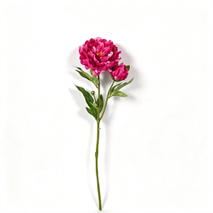 Fleurs artificielles en soie douce rose foncé pour anniversaire, pivoine artificielle fuchsia à tige, style vintage et tendance, OEM/ODM acceptés - Product Image 2
