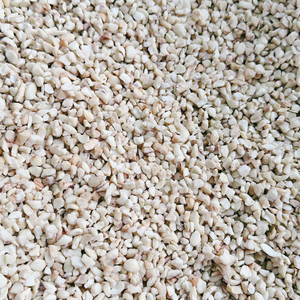 Cheap Price Broken Cashew <b>Nuts</b> <b>Kernels</b> Kaju Badam Short Leadtime Split Cashews SANTIGO - Product Image 1