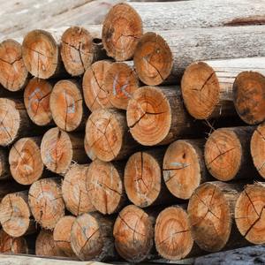 Madera de Pino y Abeto Ruso de Alta Calidad, Tablas de Madera con Bordes, Troncos de Madera Blanda, Más Vendidos - Product Image 1