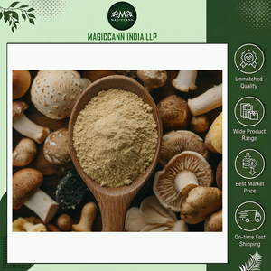 Poudre d'extrait de champignon de qualité alimentaire naturelle, haute puissance, complément de soutien immunitaire, bienfaits à base de plantes, soins quotidiens pour la santé et le bien-être - Product Image 4