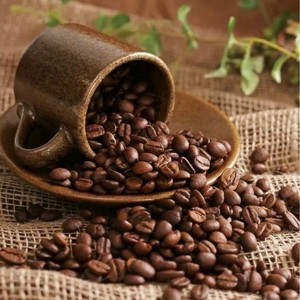 Granos de Café Robusta S14 Tostados, Proveedor de Productos de Café al por Menor con Servicio de Fabricación de Marca Privada - Product Image 5