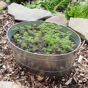 Seau à vin ovale en métal argenté, refroidisseur de bouteilles, seau à glace polyvalent pour boissons, bac à plantes pour fêtes à domicile - Product Image 4