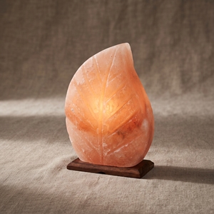 Lámpara de Sal del Himalaya con Forma de Hoja, Cristal de Roca Natural, Iluminación Decorativa para Mesa, Adorno para Dormitorio y Hogar - Product Image 6
