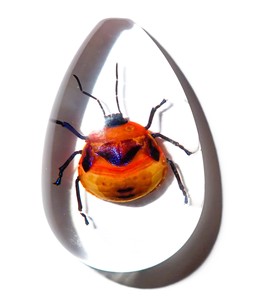 Cabujón de Plástico con Espécimen Real de Insecto Floral, Corte Pera, 46x30 mm, Base Plana Transparente para Manualidades y Joyería - Product Image 2