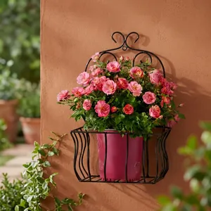 Support mural en métal galvanisé pour plantes, porte-pot de fleurs pour intérieur, extérieur, jardin, balcon, étagère d'angle, présentoir mural - Product Image 4