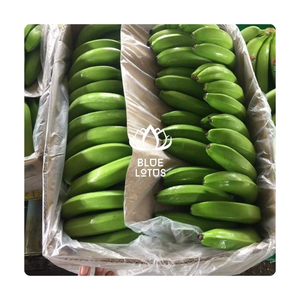กล้วยคาเวนดิชสดใหม่ รสหวานสะอาด สำหรับสมูทตี้ เพิ่มพลังงานอย่างรวดเร็ว ขายส่งส่งออกโดยตรง กำลังเป็นที่นิยม - Product Image 1