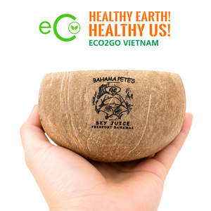 Premium Coconut Shell Bowls with Spoon Set Custom Engraving Wholesale Factory Direct from Vietnam - Product Image 5