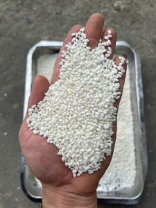 Riz Glutineux à Grains Courts Sélectionné Premium, Texture Douce et Collante, Idéal pour le Mochi Japonais et les Recettes de Desserts Asiatiques Traditionnels - Product Image 2
