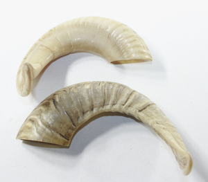 Jouet à mâcher pour chien en corne de buffle naturelle – Jouet pour animaux de compagnie biologique et durable pour une mastication sûre et saine - Product Image 1