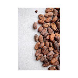 Fèves de cacao de qualité supérieure en gros, prêtes à être expédiées, best-seller, approvisionnement pour l'exportation - Product Image 1