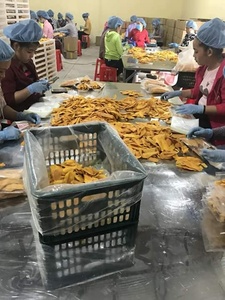 Premium <b>Quality</b> <b>Sweet</b> Preserved AD Dried Mango Slices Bulk Vacuum Pack Soft From Vietnam GMO - Caryln - Product Image 5