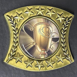 Ceintures de championnat universel de lutte poids lourd, en métal zinc, toutes couleurs, taille adulte, sangles en cuir, pour hommes et femmes - Product Image 5