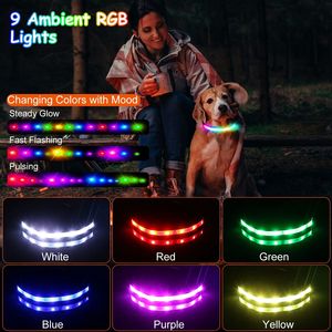 Collare per Cani LED con 9 Colori, Impermeabile IPX7, Ricaricabile USB, Collare Luminoso di Sicurezza Notturna per Animali Domestici - Product Image 6