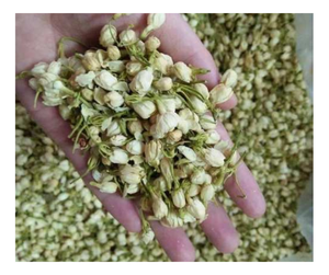 Flores de Jazmín de Alta Aroma, Ingredientes de Té de Flores de Primera Calidad para Bebidas Detox, Flores de Jazmín al por Mayor de Vietnam - Product Image 1