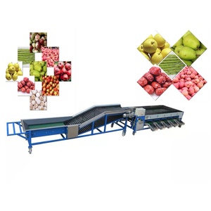 Machine de calibrage des tomates et des poivrons en acier inoxydable pour les emballageuses - Product Image 1