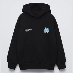 Sweat-shirt à capuche surdimensionné pour homme, imprimé avec un logo graphique, en coton molletonné, lourd, décontracté, streetwear, personnalisable OEM ODM - Product Image 1