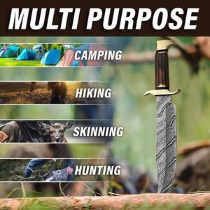 Couteau de survie Bowie en acier Damas édition spéciale chasse avec manche en bois et étui en cuir DIY OEM pour usage extérieur - Product Image 5