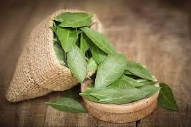 Aceites ALOURA, Aceite de Henna Gul Attar - Product Image 5