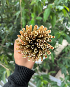 Dry Grass <b>Straws</b> <b>Plastic</b>-Free <b>Drinking</b> <b>Straws</b> Sustainable 20cm Biodegradable <b>Drinking</b> <b>Straws</b> Eco-friendly Sustainable in Vietnam - Product Image 3