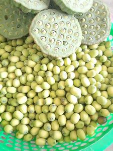 Semillas de Loto al por Mayor – Ingrediente Alimenticio Natural, Fabricante de Vietnam, Alta Calidad // Sr. Tom - Product Image 3