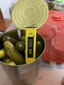 Cornichons marinés de qualité supérieure en saumure, provenant d'un fournisseur vietnamien, en promotion, pour l'exportation mondiale à prix abordable - Product Image 2
