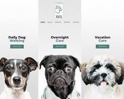 Plataforma de Cuidado de Mascotas para Reserva de Veterinarios, Peluquería, Cuidado y Paseo de Mascotas, Seguimiento de Salud, Citas y Gestión de Mascotas con Soporte para MAC - Product Image 3