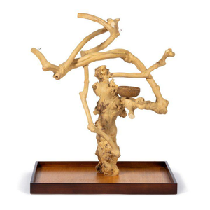 ที่เกาะสำหรับนกแก้วตกแต่งด้วยไม้กาแฟทำด้วยมือเฟอร์นิเจอร์สำหรับสัตว์เลี้ยงจากเวียดนาม - Product Image 5