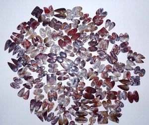 Paire d'agates Crazy Lace naturelles de qualité supérieure, pierres précieuses lâches, formes variées, jeu de couleurs, polies, haute qualité, pour la fabrication de bijoux - Product Image 6