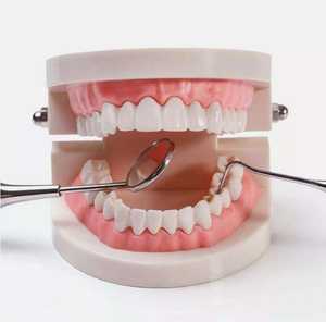 Kit de Examen Dental de Calidad Premium, Juego de 3 Piezas de Dentavex - Product Image 4