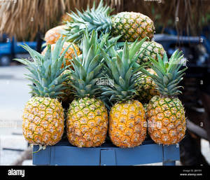 Ananas séché moelleux de qualité supérieure du Mekong River, collation tropicale dorée et savoureuse - Product Image 3